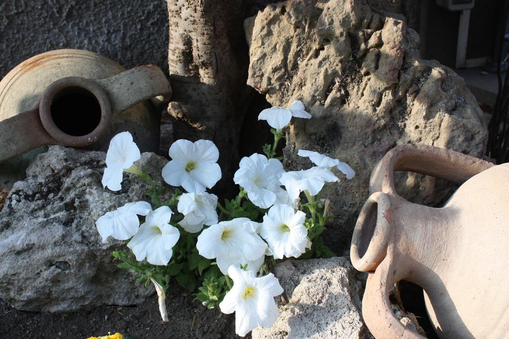 B&B Casa Di Mari Aci SantʼAntonio Dış mekan fotoğraf
